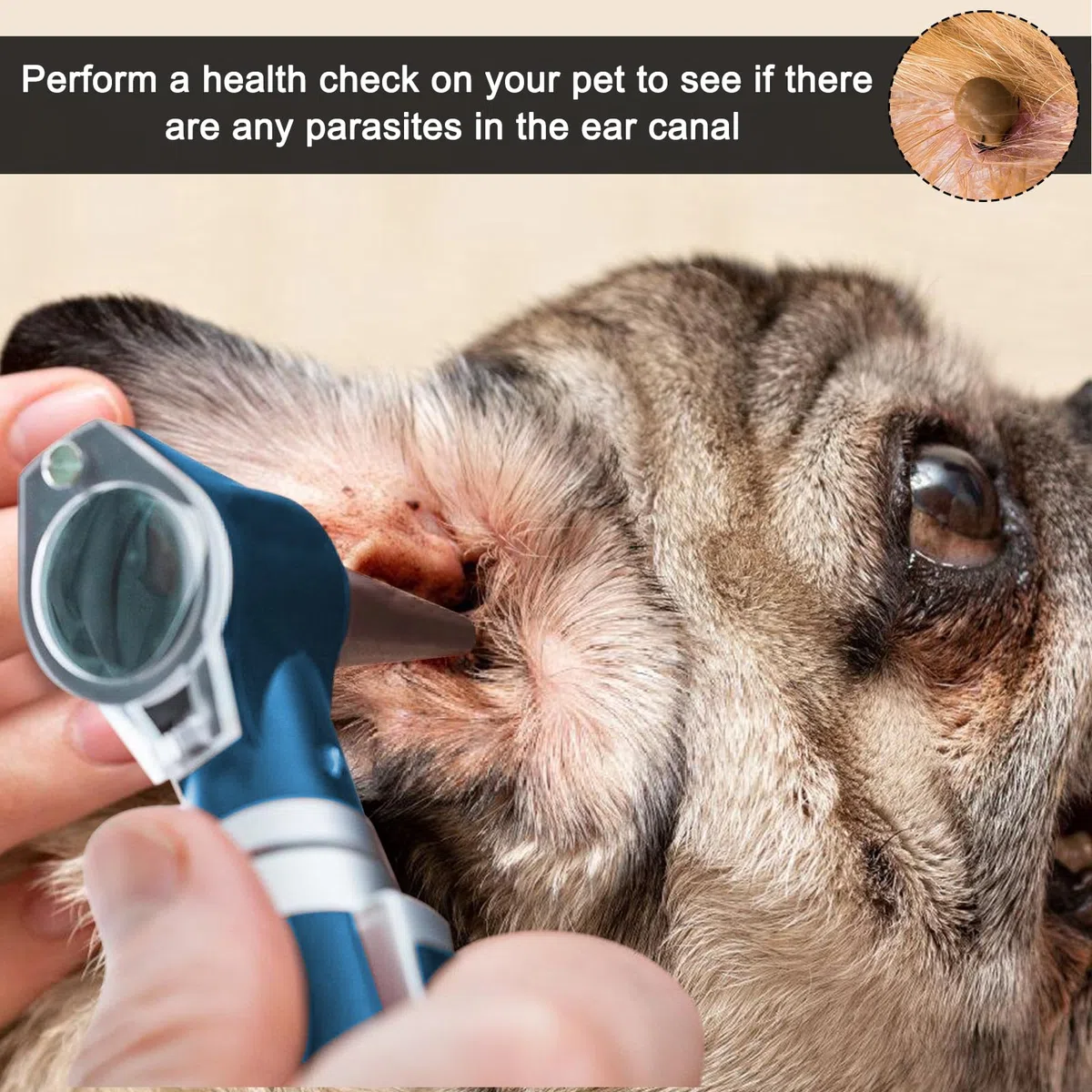 Otoscope Avec Lumière, Stéthoscope Auriculaire De Luminothérapie, Otoscope De Poche Avec étui En Plastique Rigide, Otoscope De Diagnostic, Adapté Aux Adultes, Médecins Et Animaux De Compagnie (Bleu)